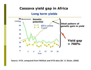 Untapped potential of genetic diversity of cassava in the great lakes region of Africa