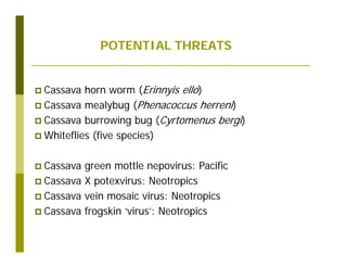 Untapped potential of genetic diversity of cassava in the great lakes region of Africa
