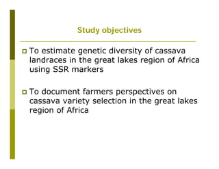 Untapped potential of genetic diversity of cassava in the great lakes region of Africa