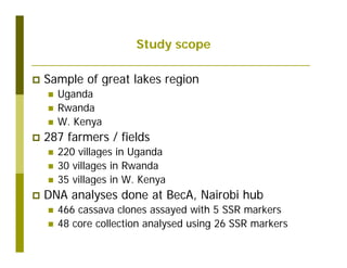 Untapped potential of genetic diversity of cassava in the great lakes region of Africa