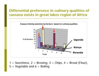 Untapped potential of genetic diversity of cassava in the great lakes region of Africa