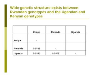 Untapped potential of genetic diversity of cassava in the great lakes region of Africa