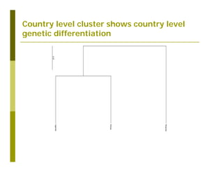 Untapped potential of genetic diversity of cassava in the great lakes region of Africa
