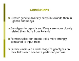 Untapped potential of genetic diversity of cassava in the great lakes region of Africa