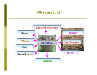 Untapped potential of genetic diversity of cassava in the great lakes region of Africa