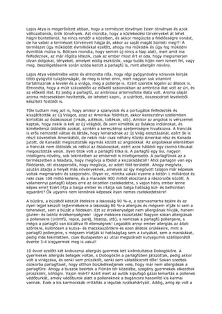 Lajos Atya is megerősített abban, hogy a természet törvényei Isten törvényei és azok
változatlanok, örök törvények. Azt mondta, hogy a közlekedési törvényeket át lehet
hágni büntetlenül, ha nincs rendőr a közelben, és akkor megúszta a felelősségre vonást,
de ha valaki a természet törvényeit hágja át, akkor az saját magát bünteti meg!!! A
természet úgy működött évmilliókkal ezelőtt, ahogy ma működik és úgy fog működni
évmilliók múlva is. Bölcsen mondta, hogy semmi új nincs a Nap alatt, mert amit ma
felfedeznek, az már régóta létezik, csak az ember most ért el oda, hogy megismerjen
olyan dolgokat, tényeket, amelyet eddig eszközök, vagy tudás híján nem ismert fel, vagy
meg. Beszélgetéseink során szóba került a parlagfű is, mint allergén növény.

Lajos Atya védelmébe vette és elmondta róla, hogy régi gyógynövény könyvek leírják
több gyógyító tulajdonságát, de meg is lehet enni, mert nagyon sok vitamint
tartalmaznak a levelei és a virága, meg a pollenje is. Ezért szeretik legelni az állatok is.
Elmondta, hogy a múlt századelőn az előkelő szalonokban az ambrózia illat volt az úri, és
az előkelő illat. Ez pedig a parlagfű, az ambrosia artemisifolia illata volt. Aroma olaját
aroma mécsesekben hevítették, de lehetett kapni, a szárított, összesodrott leveleiből
készített füstölőt is.

Tőle tudtam meg azt is, hogy amikor a spanyolok és a portugálok felfedezték és
kisajátították az Új Világot, azaz az Amerikai földrészt, akkor keresztényi szellemben
kiirtották az őslakosokat (inkák, aztékok, toltékok, stb). Amikor az angolok is vérszemet
kaptak, hogy nekik is kell az új világból, ők sem kímélték az őslakos indiánokat, és
kíméletlenül öldösték azokat, szintén a keresztényi szellemiségre hivatkozva. A franciák
is erős nemzetté váltak és látták, hogy lemaradnak az Új Világ elosztásánál, ezért ők is
részt követeltek Amerikából, de nekik már csak néhány Közép Amerikai rész és Kanada
jutott, de Kanadát megosztották egymás között az angolokkal. Az angolokkal ellentétben
a franciák nem öldösték ok nélkül az őslakosokat, ezért azok hálából egy csomó titkukat
megosztották velük. Ilyen titok volt a parlagfű titka is. A parlagfű egy ősi, nagyon
intelligens növény, sok tekintetben az embernél is intelligensebb. A parlagfűnek az a
természetben a feladata, hogy megóvja a földet a kiszáradástól!! Ahol parlagon van egy
földdarab, ott elszaporodik, hogy megóvja, az adott föld területét. Ahogy megóvta,
azután átadja a helyét más növényeknek, amelyek az így megóvott talajon már képesek
voltak megmaradni és szaporodni. Olyan ez, mintha valaki nyerne a lottón 1 milliárdot és
neki csak 100 millió kellene, és a maradék 900 milliót elosztaná a rászorulók között. A
valamennyi parlagfű képes erre az önzetlen cselekedetre, s vajon hány ember lenne
képes erre? Ezért írtja a balga ember és irtatja sok balga hatóság kül- és belhonban
egyaránt? Ők ugyanis nem lennének képesek ilyen nemes cselekedetekre!

A búzára, a búzából készült ételekre a lakosság 90 %-a, a szarvasmarha tejére és az
ilyen tejjel készült tejtermékekre a lakosság 80 %-a allergiás és mégsem irtják ki sem a
teheneket, sem a búzát a földeken. Ezt az érzékenységet nem allergiának hívják, hanem
glutén- és laktóz érzékenységnek! Ugye mekkora csúsztatás! Nagyon sokan allergiásak
a pollenekre (ürömfű, repce, paréj, libatop, stb), s nemcsak a parlagfű pollenjeire, s
mégis a parlagfű van kikiáltva fő ellenségnek! Legalább annyi ember allergiás az állati
szőrökre, különösen a kutya- és macskaszőrökre és ezen állatok ürülékeire, mint a
parlagfű pollenjeire, s mégsem irtatják ki hatóságilag sem a kutyákat, sem a macskákat,
pedig más tekintetben, csak Budapesten az utcai megszáradt kutyagumik szállóporától
évente 3-4 kisgyermek meg is vakul!

10 évvel ezelőtt két kisbusznyi allergiás gyermek lett kirándultatva Dobogókőre. A
gyermekek allergiás betegek voltak, s Dobogókőn a parlagfűben játszottak, pedig akkor
volt a virágzása, és senki sem prüszkölt, senki sem váladékozott tőle! Sokan szedtek
csokorba parlagfüvet, hogy otthon büszkélkedjenek vele, hogy már nem allergiásak a
parlagfűre. Ahogy a buszok beértek a Flórián tér közelébe, szegény gyermekek elkezdtek
prüszkölni, köhögni. Vajon miért? Azért mert az autók kipufogó gázai lemarták a pollenek
védőburkát, amely védőburok alatt a polleneknek a bogáncsra hasonlító kis karmai
vannak. Ezek a kis karmocskák irritálták a légutak nyálkahártyáit. Addig, amíg ép volt a
 