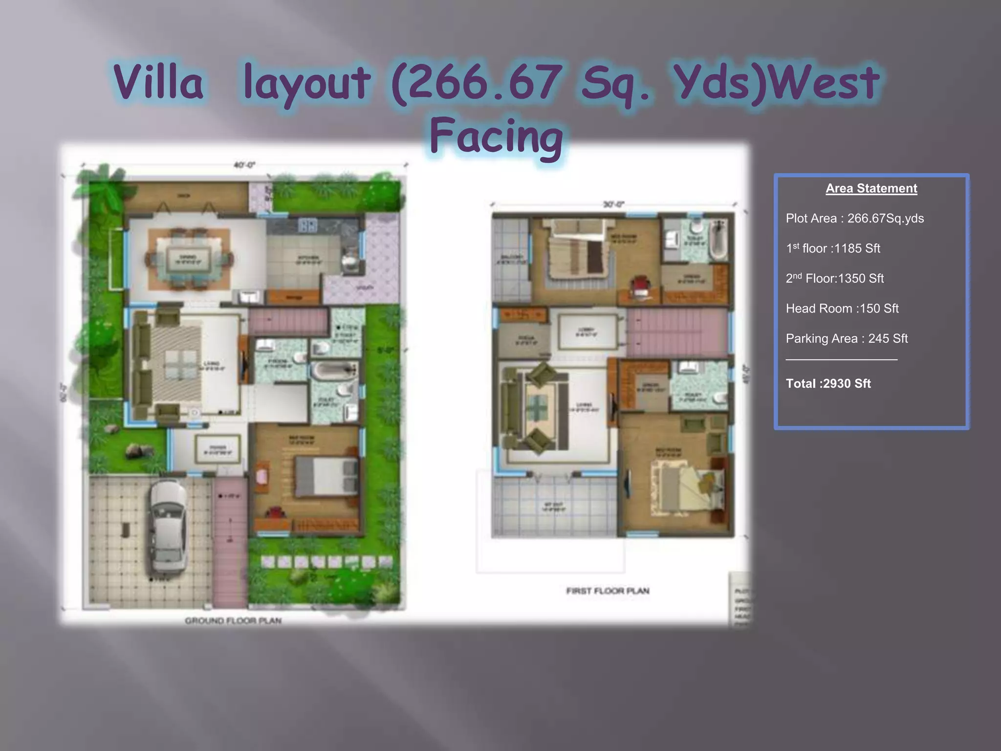 Snaps  of  the  site