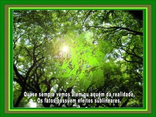 Quase sempre vemos além ou aquém da realidade, Os fatos possuem efeitos sublineares, 