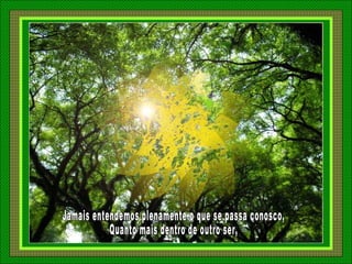 Jamais entendemos plenamente o que se passa conosco, Quanto mais dentro de outro ser, 