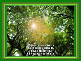 Cada ser é um universo Ainda pouco explorado, Pouco conhecido, Em expansão ao infinito. 
