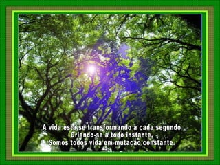 A vida está se transformando a cada segundo Criando-se a todo instante, Somos todos vida em mutação constante. 