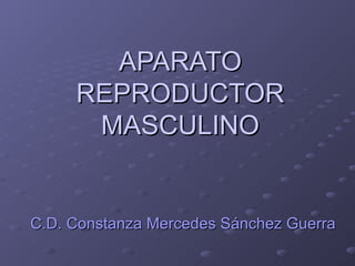 APARATO REPRODUCTOR MASCULINO C.D. Constanza Mercedes Sánchez Guerra 