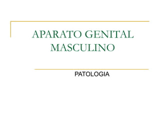 APARATO GENITAL
MASCULINO
PATOLOGIA
 
