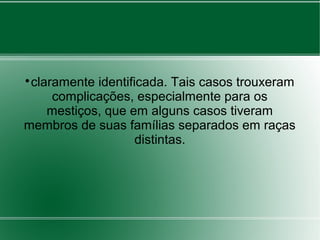 
claramente identificada. Tais casos trouxeram
complicações, especialmente para os
mestiços, que em alguns casos tiveram
membros de suas famílias separados em raças
distintas.
 