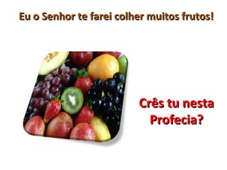 Eu o Senhor te farei colher muitos frutos!




                         Crês tu nesta
                           Profecia?
 