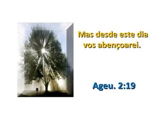 Mas desde este dia
 vos abençoarei.



   Ageu. 2:19
 