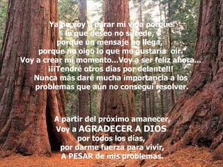 Ya no voy a parar mi vida porque lo que deseo no sucede,  porque un mensaje no llega,  porque no oigo lo que me gustaría  oír. Voy a crear mí momento...Voy a ser feliz ahora... ¡¡¡Tendré otros días por delante!!! Nunca más daré mucha importancia a los problemas que aún no conseguí resolver. A partir del próximo amanecer, Voy a  AGRADECER A DIOS   por todos los días,  por darme fuerza para vivir, A PESAR de mis problemas. 