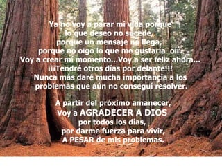 Ya no voy a parar mi vida porque lo que deseo no sucede,  porque un mensaje no llega,  porque no oigo lo que me gustaría  oír. Voy a crear mí momento...Voy a ser feliz ahora... ¡¡¡Tendré otros días por delante!!! Nunca más daré mucha importancia a los problemas que aún no conseguí resolver. A partir del próximo amanecer, Voy a  AGRADECER A DIOS   por todos los días,  por darme fuerza para vivir, A PESAR de mis problemas. 