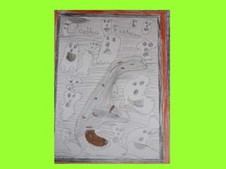 A partir de uma proposta de um livro