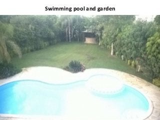 Swimming pool and garden 
 