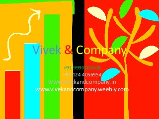 Vivek & Company 
+91 9990365408 
+91 124 4056954 
www.vivekandcompany.in 
www.vivekandcompany.weebly.com 
 