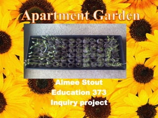 Apartment Garden Aimee Stout Education 373  Inquiry project 