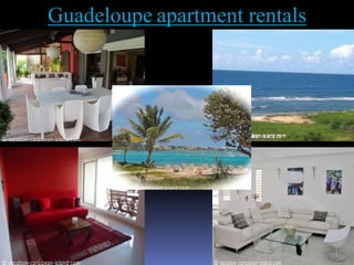 Guadeloupe apartment rentals
 