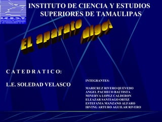 INSTITUTO DE CIENCIA Y ESTUDIOS
SUPERIORES DE TAMAULIPAS

C A T E D R A T I C O:
L.E. SOLEDAD VELASCO

INTEGRANTES:
MARICRUZ RIVERO QUEVEDO
ANGEL PACHECO BAUTISTA
MINERVA LOPEZ CALDERON
ELEAZAR SANTIAGO ORTIZ
ESTEFANIA MANZANO ALFARO
IRVING ARTURO AGUILAR RIVERO

 