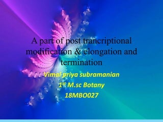 A part of post trancriptional
modification & elongation and
termination
Vimal priya subramanian
1st M.sc Botany
18MBO027
 