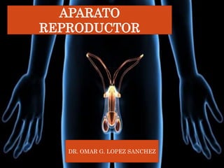 APARATO
REPRODUCTOR
DR. OMAR G. LOPEZ SANCHEZ
 