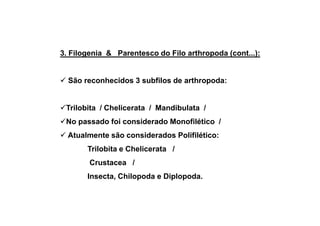 3. Filogenia & Parentesco do Filo arthropoda (cont...):


  São reconhecidos 3 subfilos de arthropoda:


 Trilobita / Chelicerata / Mandibulata /
 No passado foi considerado Monofilético /
  Atualmente são considerados Polifilético:
       Trilobita e Chelicerata /
        Crustacea /
       Insecta, Chilopoda e Diplopoda.
 