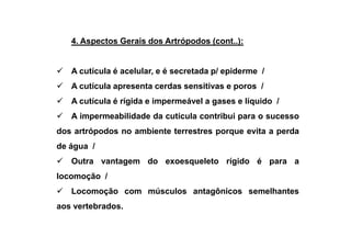 4. Aspectos Gerais dos Artrópodos (cont..):


   A cutícula é acelular, e é secretada p/ epiderme /
   A cutícula apresenta cerdas sensitivas e poros /
   A cutícula é rígida e impermeável a gases e líquido /
   A impermeabilidade da cutícula contribui para o sucesso
dos artrópodos no ambiente terrestres porque evita a perda
de água /
   Outra vantagem do exoesqueleto rígido é para a
locomoção /
   Locomoção com músculos antagônicos semelhantes
aos vertebrados.
 