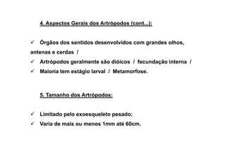 4. Aspectos Gerais dos Artrópodos (cont...):


   Órgãos dos sentidos desenvolvidos com grandes olhos,
antenas e cerdas /
   Artrópodos geralmente são dióicos / fecundação interna /
   Maioria tem estágio larval / Metamorfose.



   5. Tamanho dos Artrópodos:


   Limitado pelo exoesqueleto pesado;
   Varia de mais ou menos 1mm até 60cm.
 