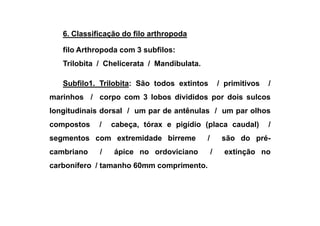 6. Classificação do filo arthropoda

   filo Arthropoda com 3 subfilos:
   Trilobita / Chelicerata / Mandibulata.

   Subfilo1. Trilobita: São todos extintos          / primitivos   /
marinhos / corpo com 3 lobos divididos por dois sulcos
longitudinais dorsal / um par de antênulas / um par olhos
compostos    /   cabeça, tórax e pigídio (placa caudal)            /
segmentos com extremidade birreme           /        são do pré-
cambriano    /   ápice no ordoviciano           /     extinção no
carbonífero / tamanho 60mm comprimento.
 