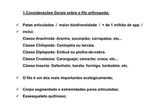 1.Considerações Gerais sobre o filo arthropoda:


Patas articuladas / maior biodiversidade / + de 1 milhão de spp /
inclui:
Classe Arachnida: Aranha; escorpião; carrapatos; etc...
Classe Chilopoda: Centopéia ou lacraia.
Classe Diplopoda: Embuá ou piolho-de-cobra.
Classe Crustacea: Caranguejo; camarão; craca; etc...
Classe Insecta: Gafanhoto; barata; formiga; borboleta; etc.


O filo é um dos mais importantes ecologicamente;


Corpo segmentado e extremidades pares articuladas;
Exoesqueleto quitinoso;
 