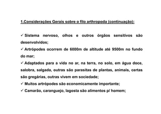 1.Considerações Gerais sobre o filo arthropoda (continuação):


  Sistema nervoso, olhos e outros órgãos sensitivos são
desenvolvidos;
  Artrópodes ocorrem de 6000m de altitude até 9500m no fundo
do mar;
  Adaptados para a vida no ar, na terra, no solo, em água doce,
salobra, salgada, outras são parasitas de plantas, animais, certas
são gregárias, outras vivem em sociedade;
  Muitos artrópodes são economicamente importante;
  Camarão, caranguejo, lagosta são alimentos p/ homem;
 