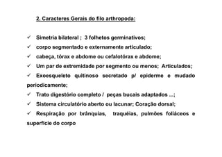 2. Caracteres Gerais do filo arthropoda:


   Simetria bilateral ; 3 folhetos germinativos;
   corpo segmentado e externamente articulado;
   cabeça, tórax e abdome ou cefalotórax e abdome;
   Um par de extremidade por segmento ou menos; Articulados;
   Exoesqueleto quitinoso secretado p/ epiderme e mudado
periodicamente;
   Trato digestório completo / peças bucais adaptados ...;
   Sistema circulatório aberto ou lacunar; Coração dorsal;
   Respiração por brânquias,      traquéias, pulmões foliáceos e
superfície do corpo
 