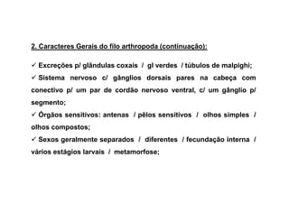 2. Caracteres Gerais do filo arthropoda (continuação):

  Excreções p/ glândulas coxais / gl verdes / túbulos de malpighi;
  Sistema nervoso c/ gânglios dorsais pares na cabeça com
conectivo p/ um par de cordão nervoso ventral, c/ um gânglio p/
segmento;
  Órgãos sensitivos: antenas / pêlos sensitivos / olhos simples /
olhos compostos;
  Sexos geralmente separados / diferentes / fecundação interna /
vários estágios larvais / metamorfose;
 
