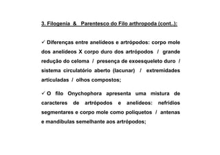 3. Filogenia & Parentesco do Filo arthropoda (cont..):


  Diferenças entre anelídeos e artrópodos: corpo mole
dos anelídeos X corpo duro dos artrópodos / grande
redução do celoma / presença de exoesqueleto duro /
sistema circulatório aberto (lacunar) / extremidades
articuladas / olhos compostos;

  O filo Onychophora apresenta uma mistura de
caracteres   de   artrópodos   e   anelídeos:   nefrídios
segmentares e corpo mole como poliquetos / antenas
e mandíbulas semelhante aos artrópodos;
 