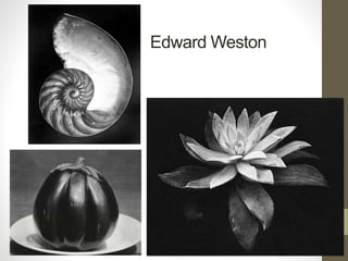 Edward Weston
 