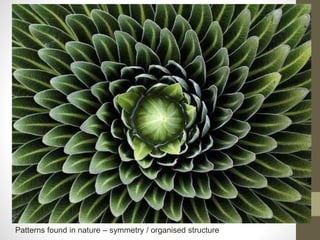 Patterns found in nature – symmetry / organised structure
 