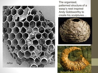 The organised,
patterned structure of a
wasp’s nest inspired
Andy Goldsworthy to
create his sculptures…
 