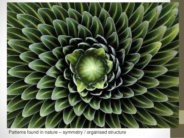 Pattern And Structure Found In Nature Aqa | apart together Pattern And Structure Found In Nature Aqa | apart together