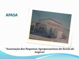 APASA
“Associação dos Pequenos Agropecuaristas do Sertão de
Angicos”
 