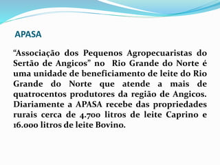 APASA
“Associação dos Pequenos Agropecuaristas do
Sertão de Angicos” no Rio Grande do Norte é
uma unidade de beneficiamento de leite do Rio
Grande do Norte que atende a mais de
quatrocentos produtores da região de Angicos.
Diariamente a APASA recebe das propriedades
rurais cerca de 4.700 litros de leite Caprino e
16.000 litros de leite Bovino.
 