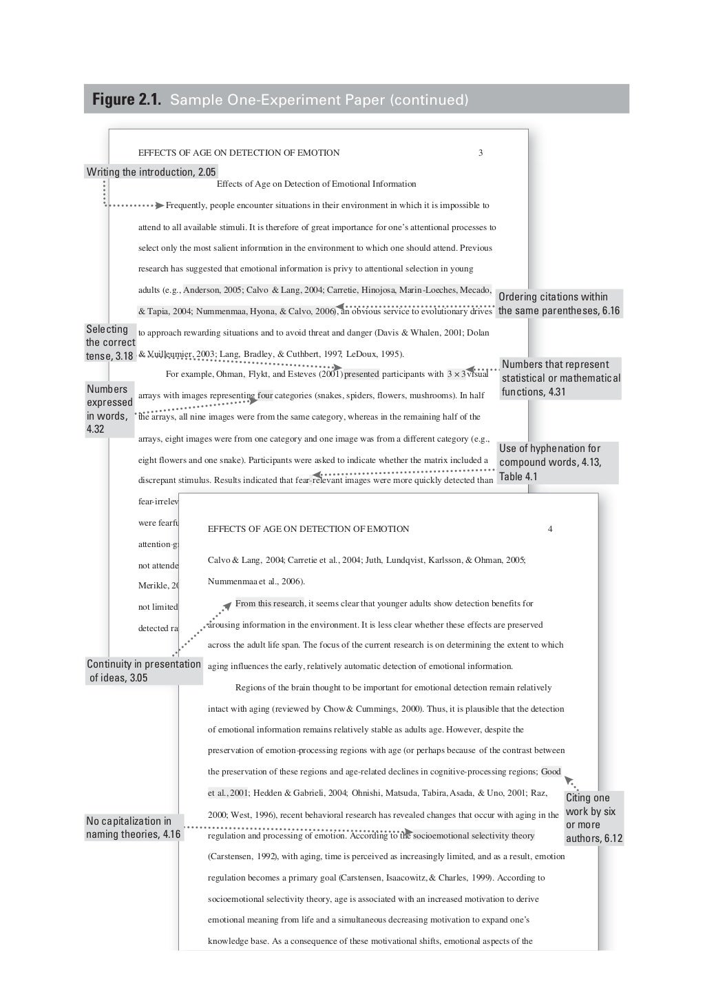 Apa narrative paper example picture
