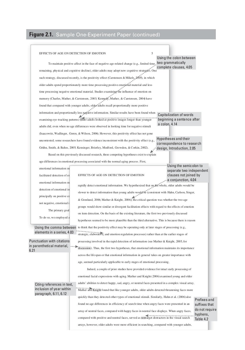 Apa format assignment sample picture