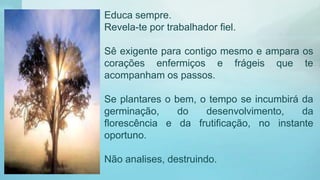 Educa sempre.
Revela-te por trabalhador fiel.
Sê exigente para contigo mesmo e ampara os
corações enfermiços e frágeis que te
acompanham os passos.
Se plantares o bem, o tempo se incumbirá da
germinação, do desenvolvimento, da
florescência e da frutificação, no instante
oportuno.
Não analises, destruindo.
 