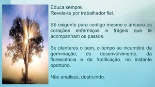 Educa sempre.
Revela-te por trabalhador fiel.
Sê exigente para contigo mesmo e ampara os
corações enfermiços e frágeis que te
acompanham os passos.
Se plantares o bem, o tempo se incumbirá da
germinação, do desenvolvimento, da
florescência e da frutificação, no instante
oportuno.
Não analises, destruindo.
 