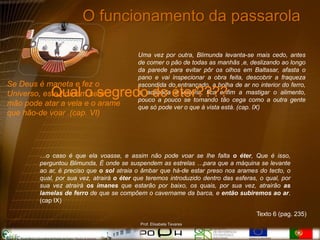 O funcionamento da passarola

                                          Uma vez por outra, Blimunda levanta-se mais cedo, antes
                                          de comer o pão de todas as manhãs ,e, deslizando ao longo
                                          da parede para evitar pôr os olhos em Baltasar, afasta o
                                          pano e vai inspecionar a obra feita, descobrir a fraqueza
Se Deus é maneta e fez o                  escondida do entrançado, a bolha de ar no interior do ferro,
            Qual o segredo do éter????
Universo, este homem sem                  e, acabada a vistoria, fica enfim a mastigar o alimento,
                                          pouco a pouco se tornando tão cega como a outra gente
mão pode atar a vela e o arame            que só pode ver o que à vista está. (cap. IX)
que hão-de voar .(cap. VI)




        …o caso é que ela voasse, e assim não pode voar se lhe falta o éter, Que é isso,
        perguntou Blimunda, É onde se suspendem as estrelas …para que a máquina se levante
        ao ar, é preciso que o sol atraia o âmbar que há-de estar preso nos arames do tecto, o
        qual, por sua vez, atrairá o éter que teremos introduzido dentro das esferas, o qual, por
        sua vez atrairá os ímanes que estarão por baixo, os quais, por sua vez, atrairão as
        lamelas de ferro de que se compõem o cavername da barca, e então subiremos ao ar.
        (cap IX)

                                                                                    Texto 6 (pag. 235)
                                           Prof. Elisabete Tavares
 